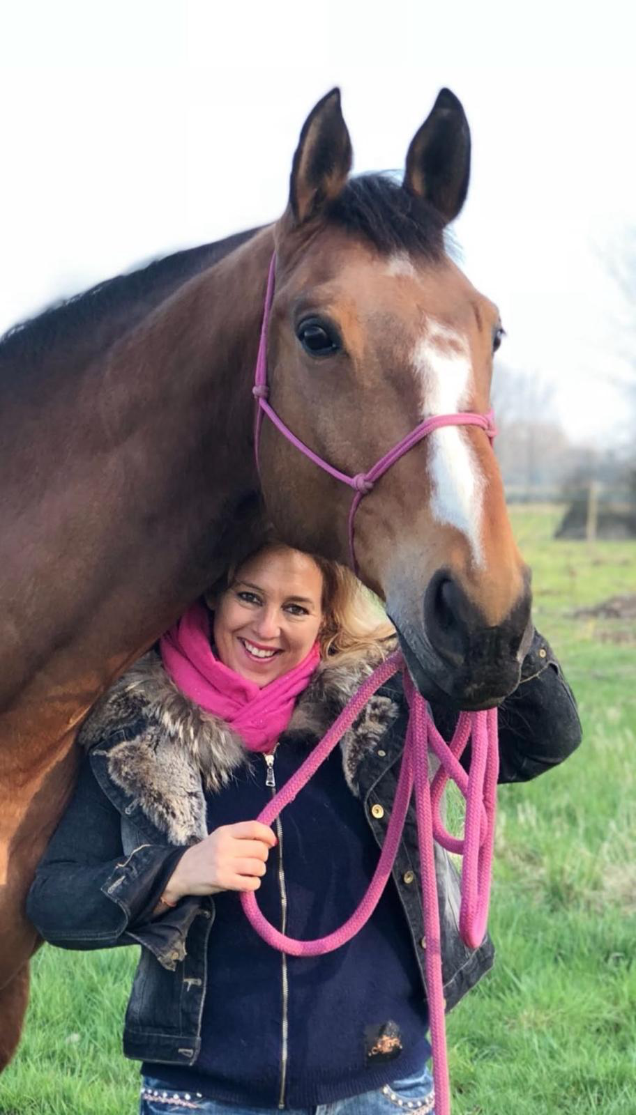 Une femme auprès d’un cheval bai portant un licol rose